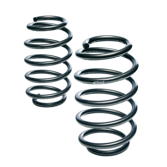 Muelles Eibach E10-20-058-02-20 para BMW 5