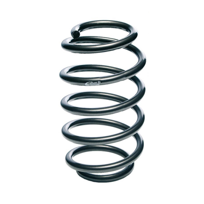Muelles Eibach E10-20-058-02-20 para BMW 5