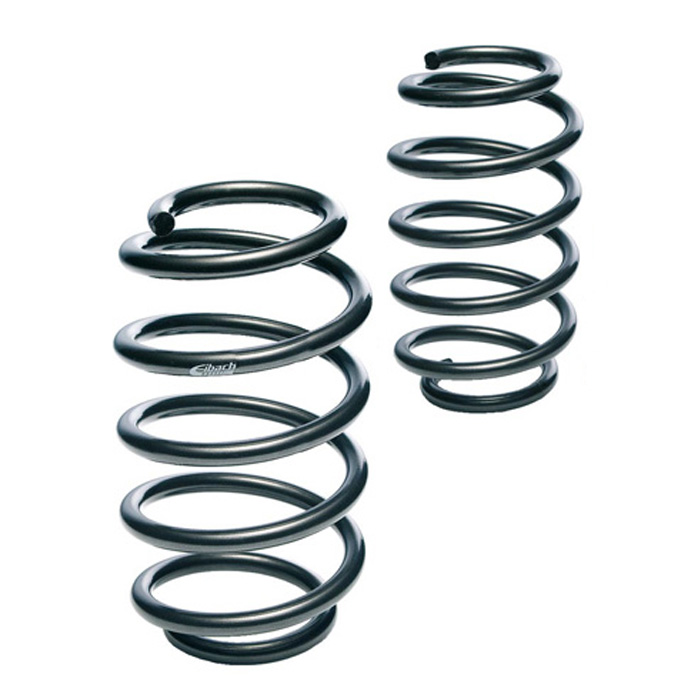Muelles Eibach E10-20-058-02-20 para BMW 5
