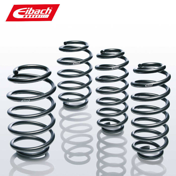 Muelles Eibach E10-20-058-02-20 para BMW 5